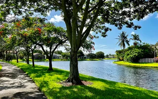 Parkland