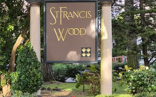Saint Francis Wood